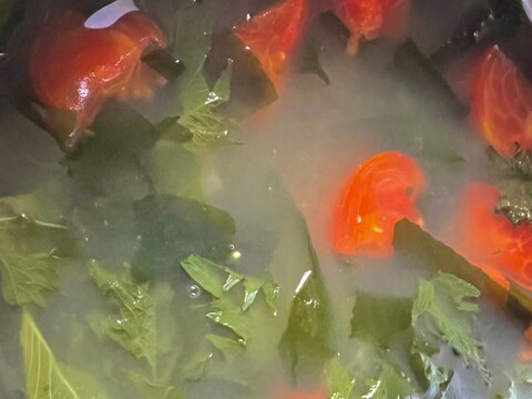 トマトと大葉とわかめのスープ